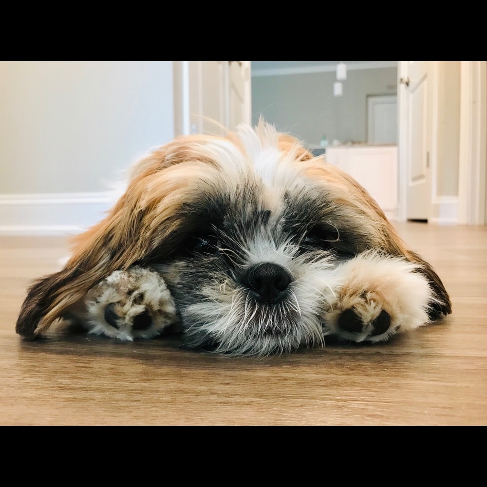 Meet your Posher, Regina